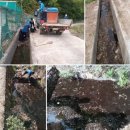 차리농장 이미지