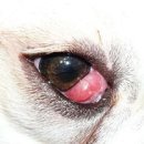 체리약국 이미지