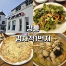 애견1번지 | 내돈내산 강릉 [감자적1번지] 솔직후기