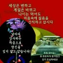 솔잎효소 &amp; 발효효소 제조용 설탕시럽 만들기 이미지