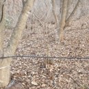 감나무골농장 이미지