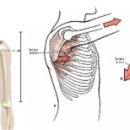 도청로89번길 이미지