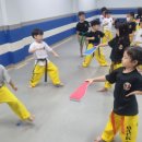 경희대 석사 백호태권도장 이미지