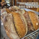 제주밀연구회 | 제주 햇밀장-온라인활동가 활동 후기^^