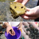 슬기로운 펜션 이미지