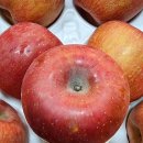 [ 오늘 15시까지 주문시, 3천원 할인판매 ] 맛있는 충주 사과(루돌프 사과) 선물하세요. 이미지