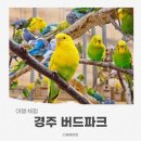 앵무새동물원 | 경주 버드파크 실내동물원 아이와 앵무새 먹이주기 체험