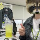 수원-0615 | 2025 6. WORLD DJ FESTIVAL SEOUL (0615)