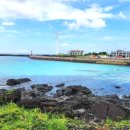 국내 이런 풍경을 볼 수 있는 곳이 있다고? 이미지