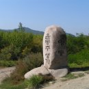 일송정 Daum카페