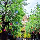 밀물농장 | [치앙마이 일상] 날이면 날마다 오는 게 아닌..