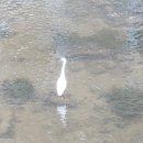 대한민국무공수훈자회 연제구지회 이미지