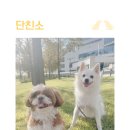 털로덮인친구들 동탄호수공원점 이미지