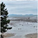 시민행정사사무소 이미지