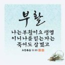 부평성산교회 부활절 강단 꽃꽂이 사진.2029.4.21 이미지