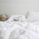 주식회사 화이트클린 이미지