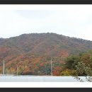 호반애견훈련소 이미지