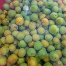 진건약품 이미지