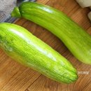 자미농장 이미지