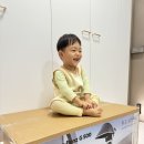 파파야 | 파파야나인 푸쉬카 후기 23개월 아기랑 실사용한 찐리뷰