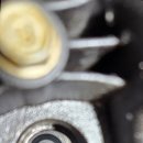 애니카랜드 대저점 이미지