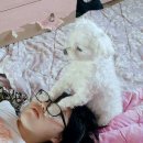 리뷰안경 이미지