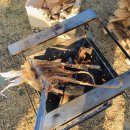 대저캠핑장 이미지