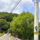 성거호수펜션 | 독채펜션 정가/천안펜션추천/독체팬션 독립공간/천안여행/불당동30분거리 성거단지 근처 천홍저수지...