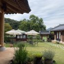 가야금피어나 | 6월 4일 다시살롱 <모혜윤 가야금병창 전수자> 후기