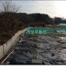 내흥리농장 이미지