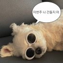 무지개파크 이미지