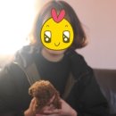 참 조은 훈이네 강아지 이미지