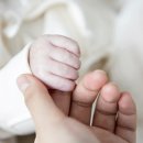 베베산모도우미 이미지