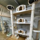 (주) 정글스토리 이미지