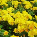 산수식품 - 북구 | 산수식품