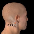 홈케어 기본 두피 관리 라입 두피토닉 에센스 분사형이라 간편해 여름철 긴머리 말리는 팁