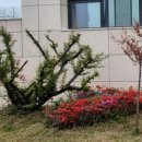 제주향기부동산중개 이미지