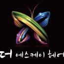 더에스케이헤어
