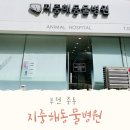 지중해동물병원 이미지