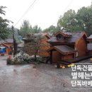 숲속펜션 네이버블로그