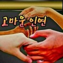 세영여행사