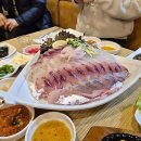생선회 특화지역 | 문래동 현지인 횟집 실패 없는 곳 찾는 법 및 가성비 메뉴 추천