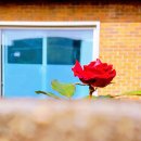 삼주공인중개사사무소 이미지