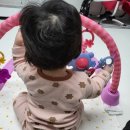 언약체육관 이미지