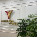 파티마성형외과 이미지