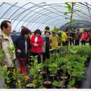 뒷동산농원 이미지