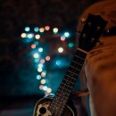 성인 우쿨렐레 이미지