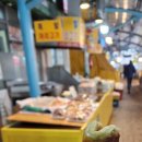 50번째 크리스마스 이미지