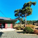 삼한국대부인순흥안씨묘 | 전주 이씨 광평대군파 묘역 / 광평대군 묘 / 무안대군 묘 / 영순군 묘