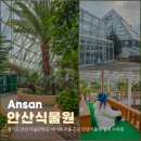 성호공원(2구역) 운동장 | 경기도 안산 가볼만한곳 아이와 서울 근교 안산식물원 실내 수목원